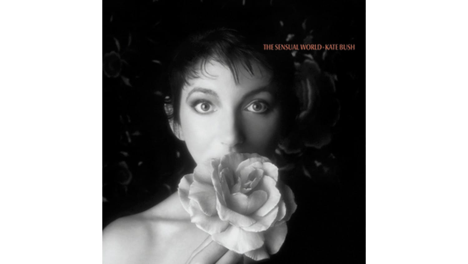 The Vinyl Countdown - June 19, 2025