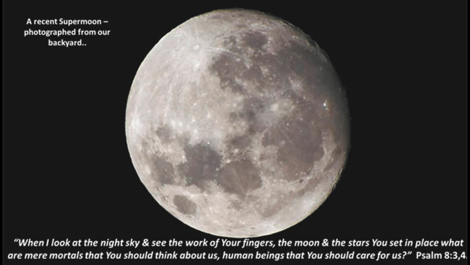 A Supermoon Which Lights the Night Sky