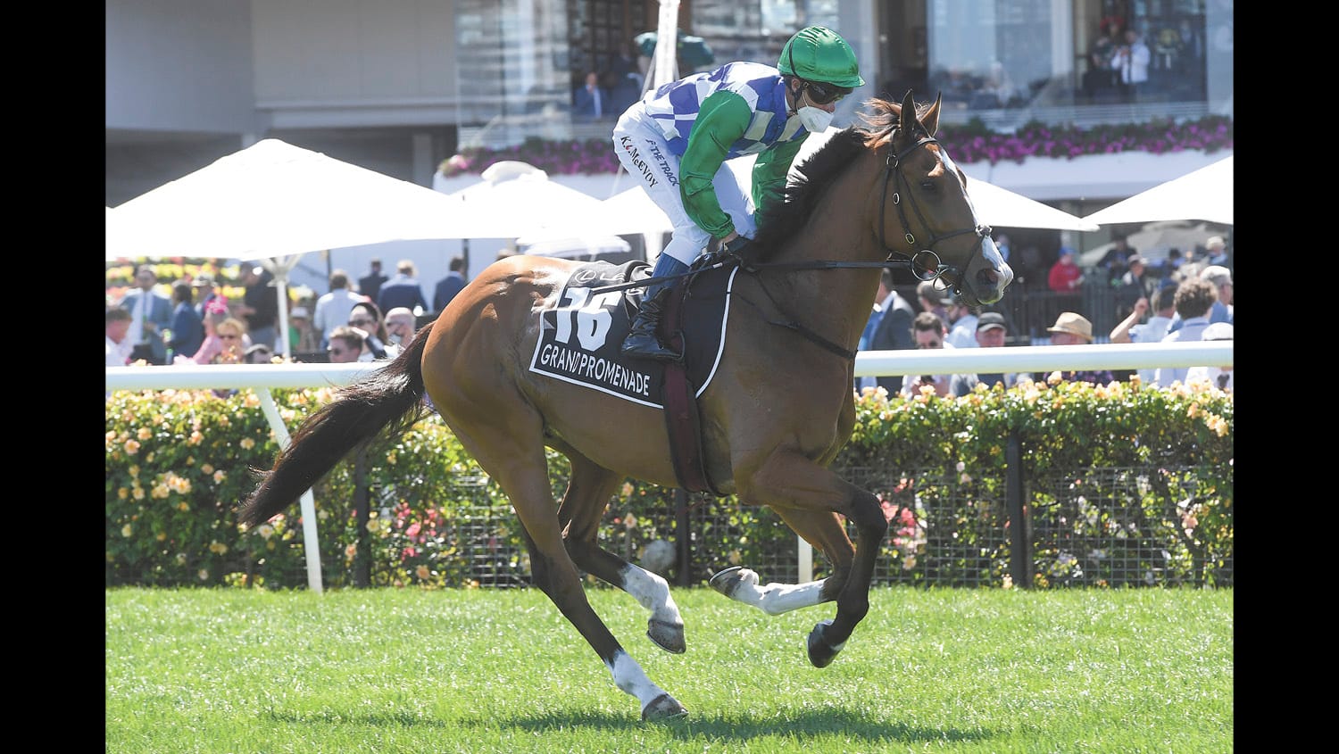 Rice Paddies to Racetrack