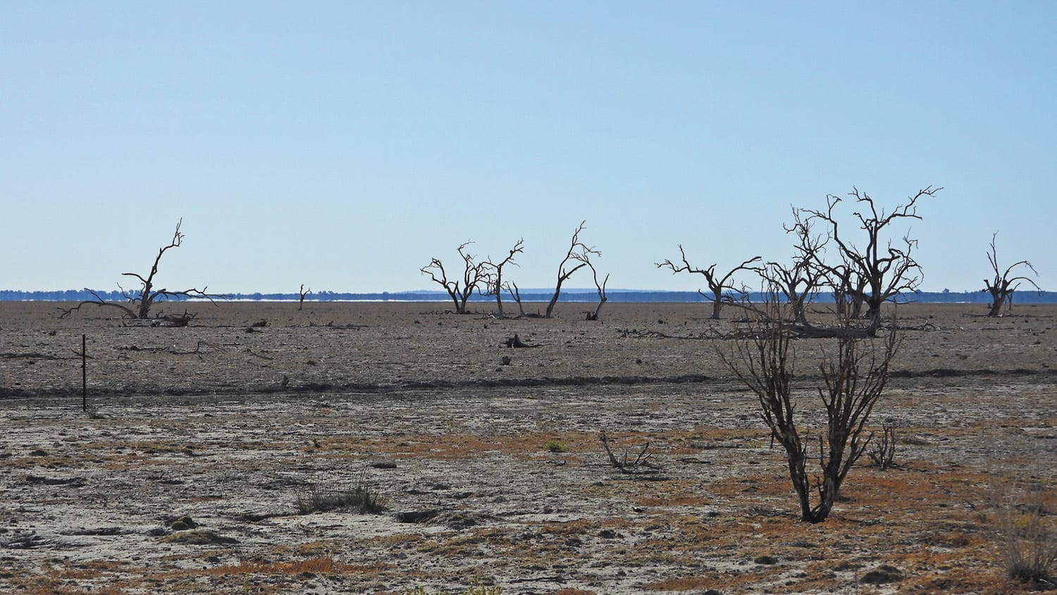 Dire Warning for Southern Basin