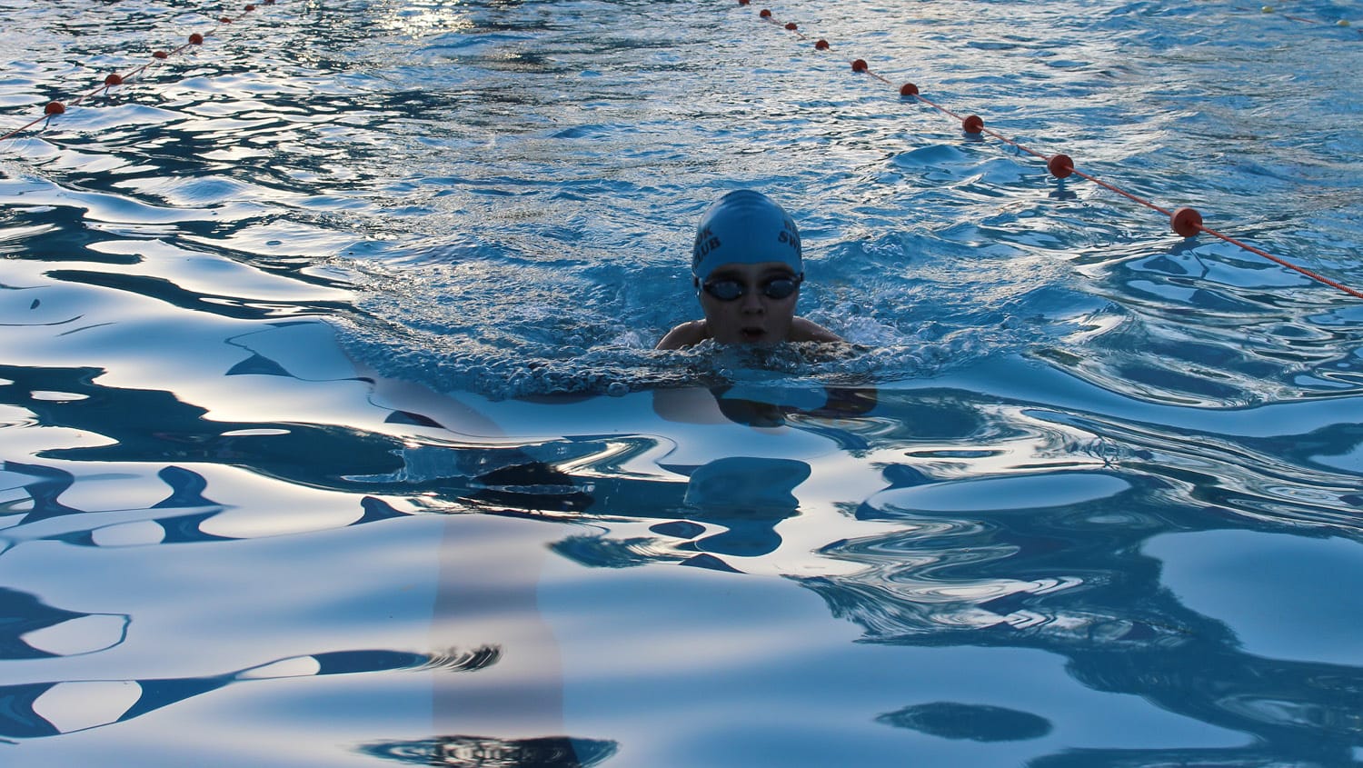 Bar-rook Swimming Club