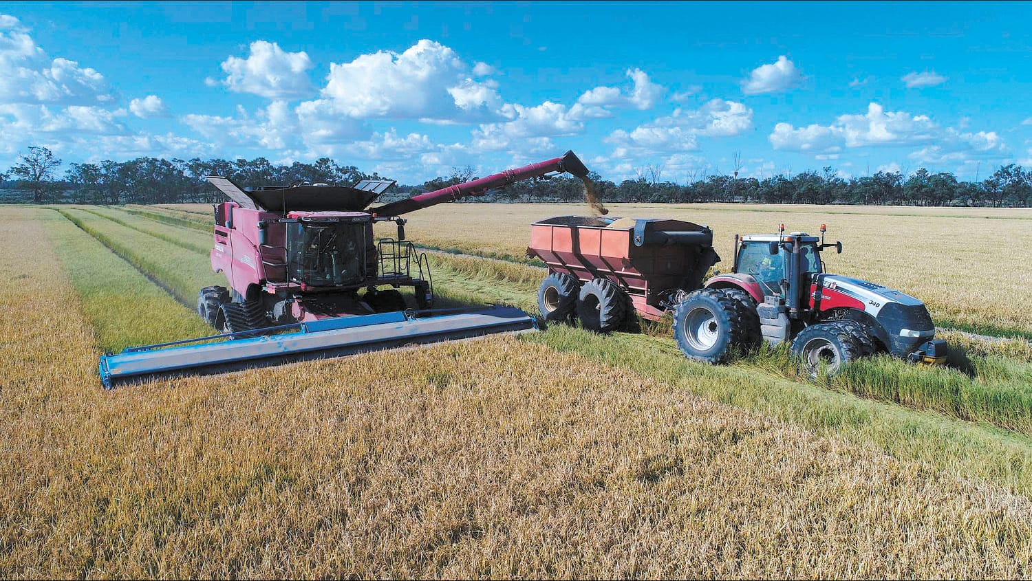 Moulamein Notebook- July 14, 2022