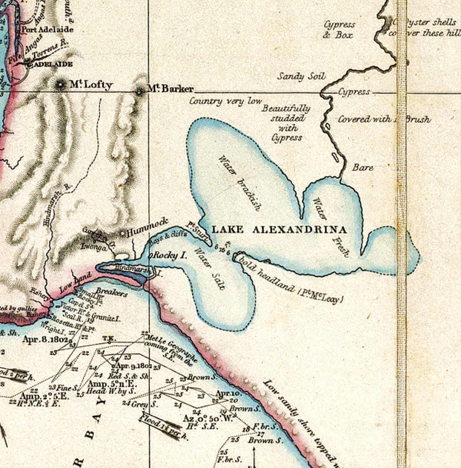 Miscarriage of Justice