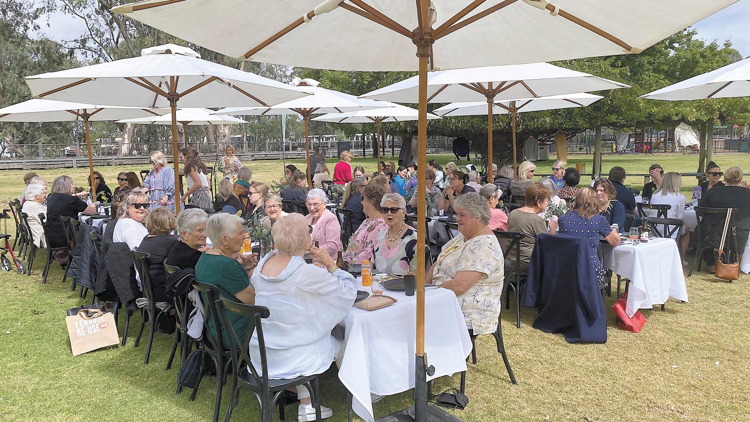 Ladies luncheon in the park