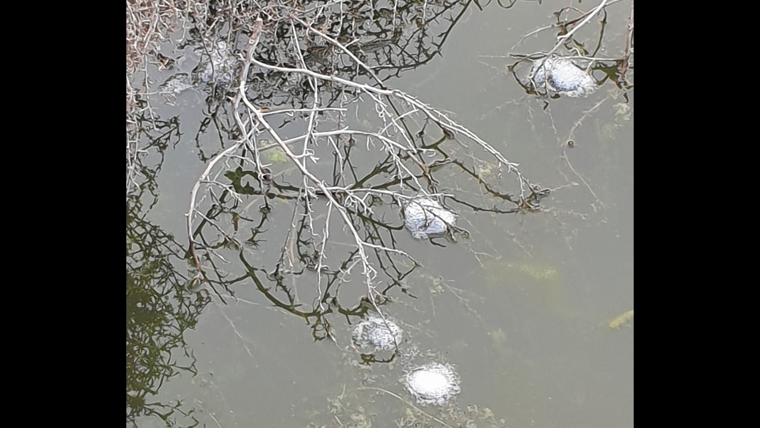 Moulamein Notebook- September 1, 2022