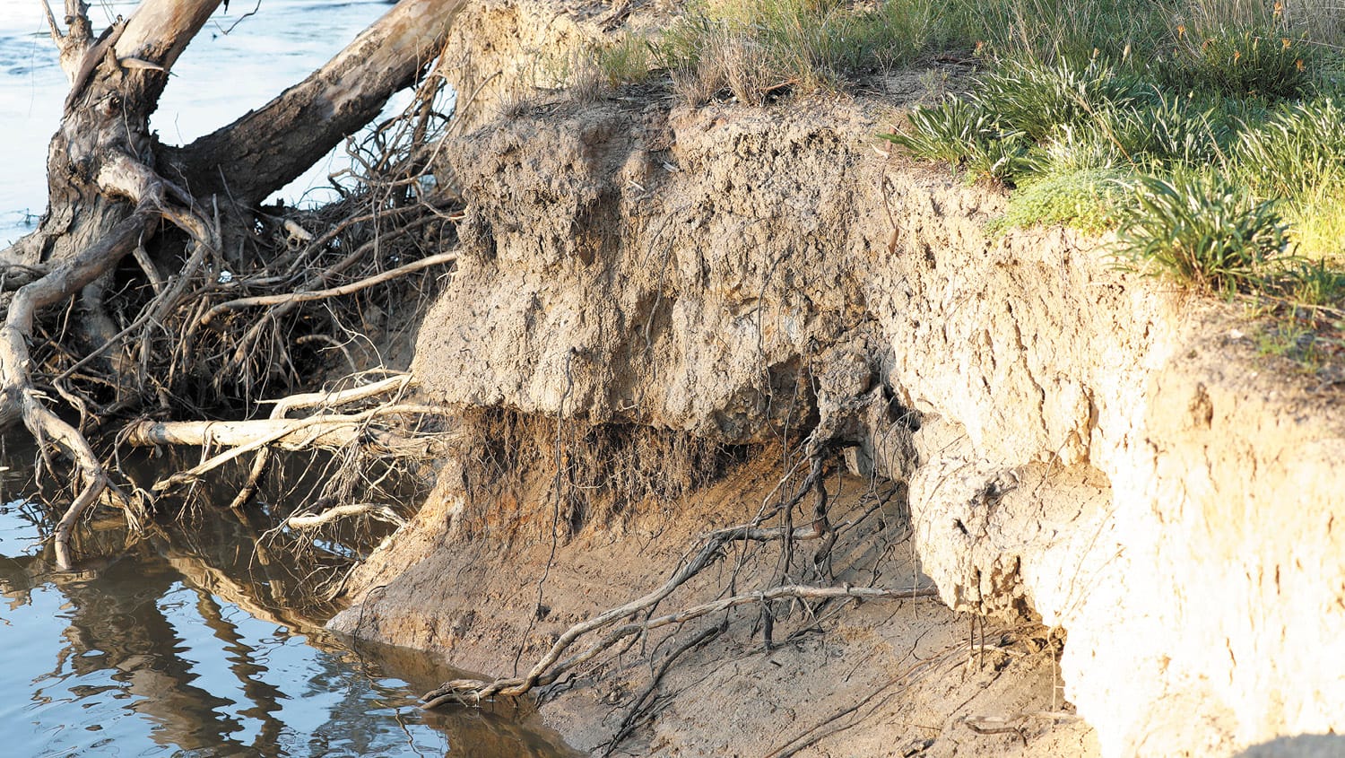 Federal Government a Day Late and Dollar Short