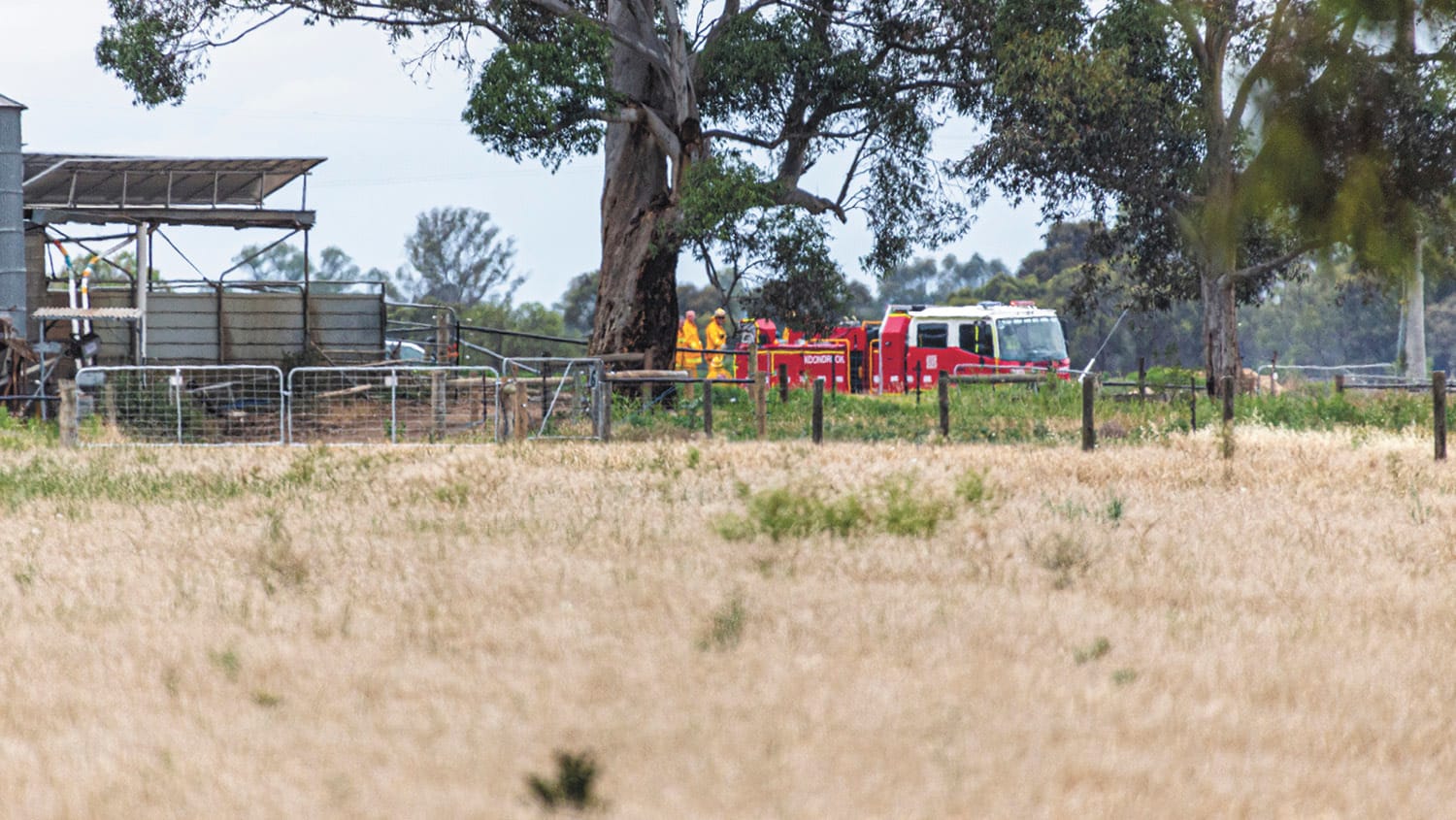 Grass Fire Halted