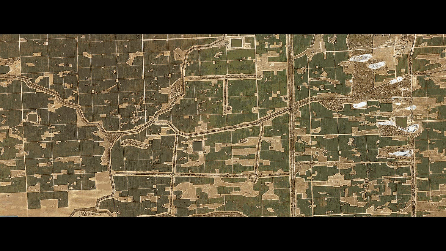 Money Drives Madness