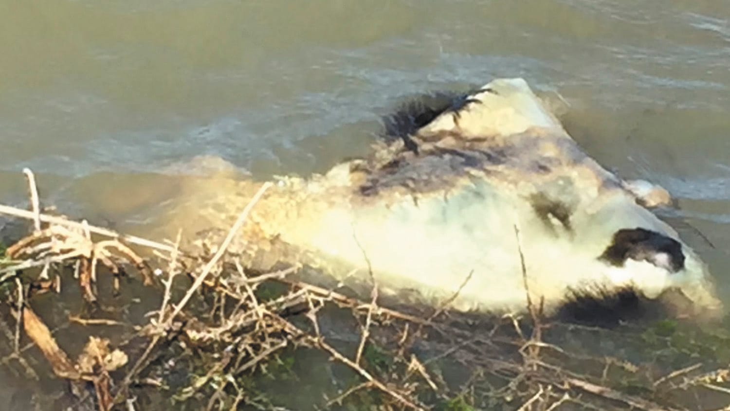 Killing In The Name Of