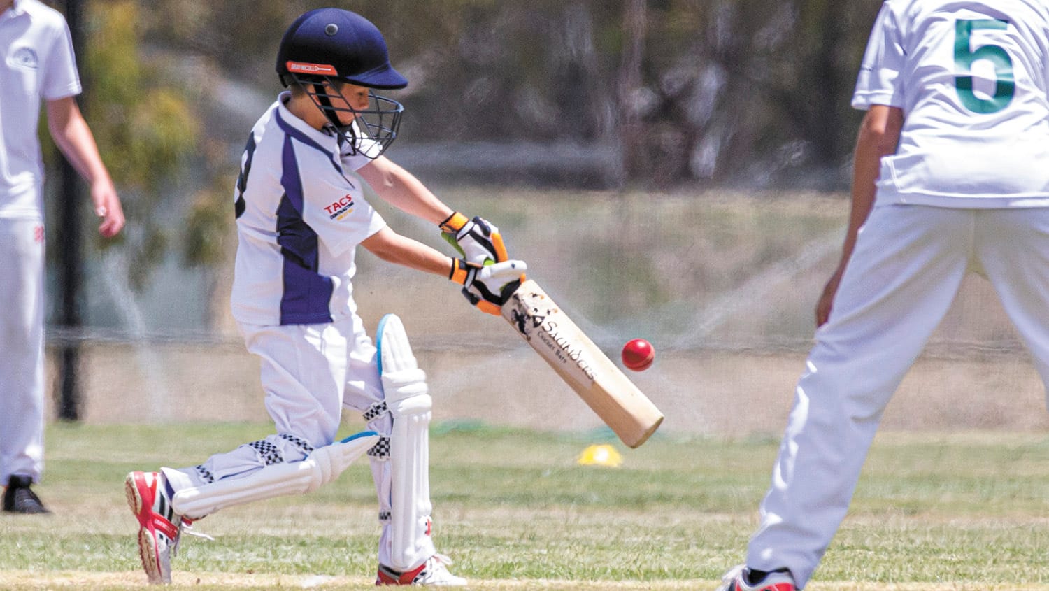 Swan Hill Defeats Northern District U13s Cricket