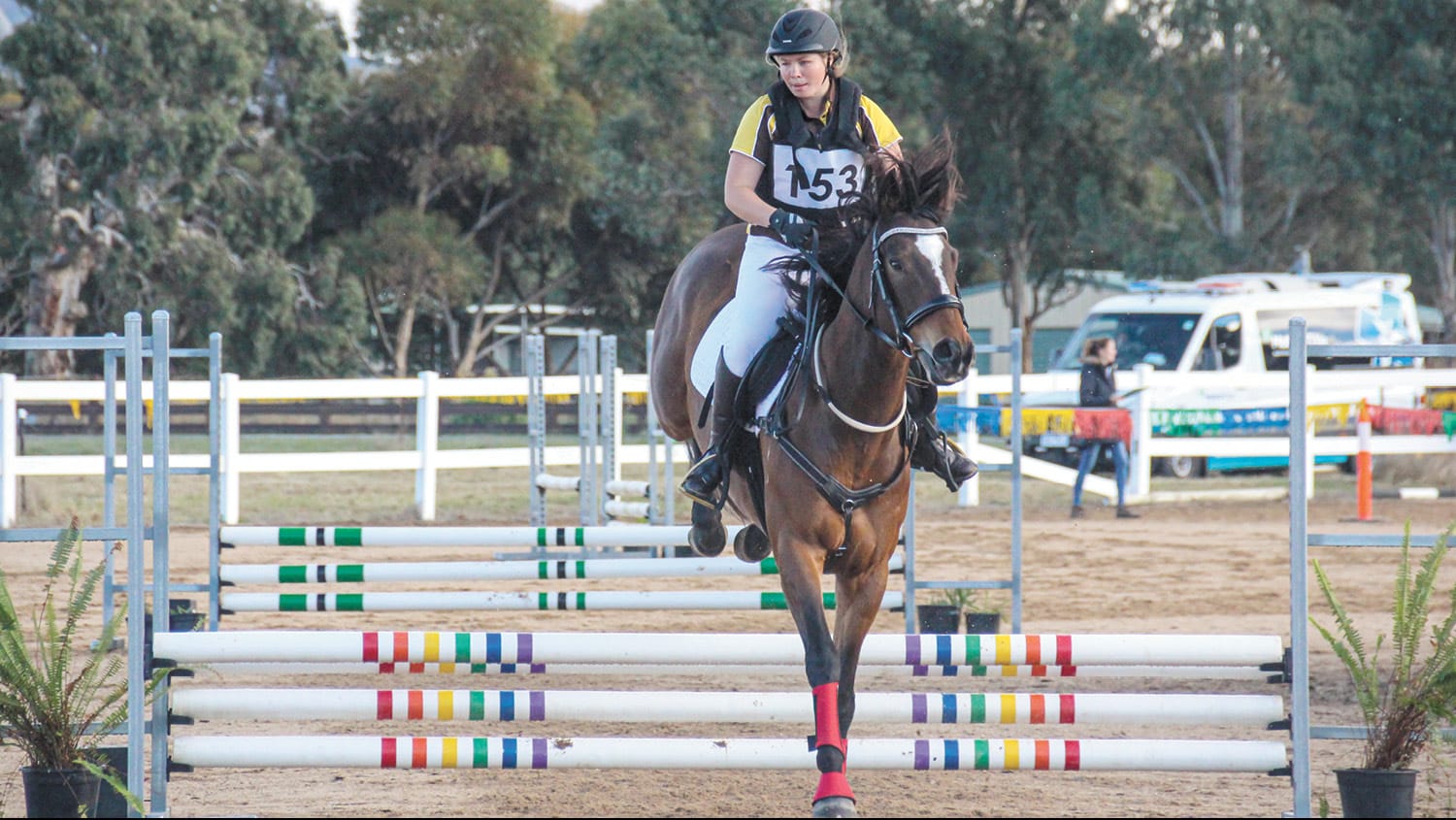King-Gee in Team Horse Trials
