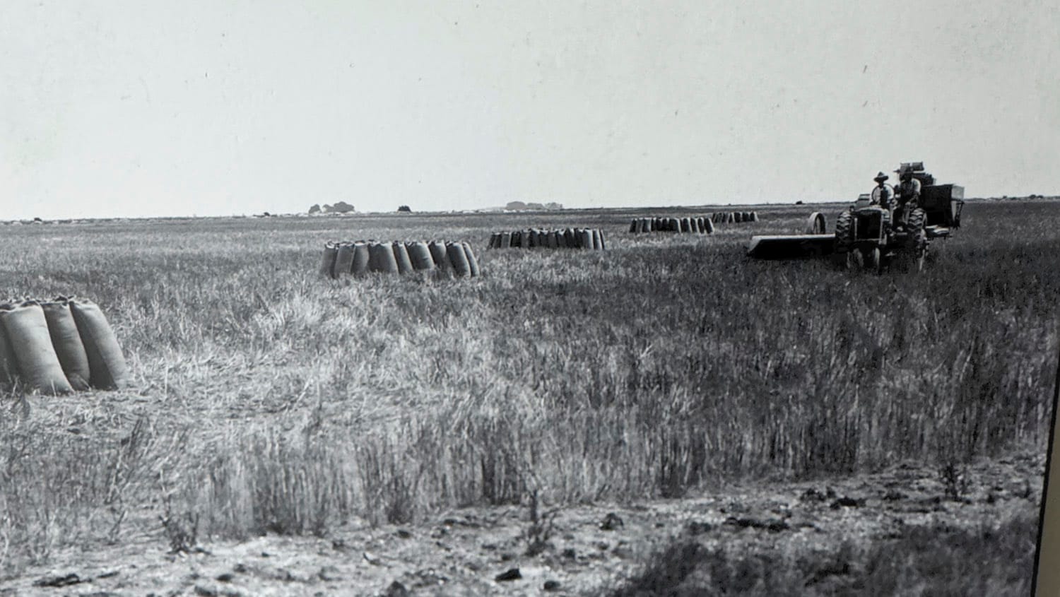 Killing in the Name of: How Coorong’s Don’t Make a Right