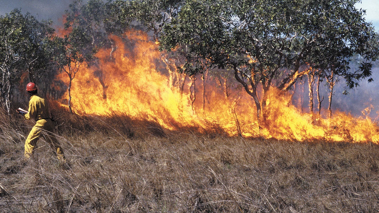 Fire Danger Period has begun