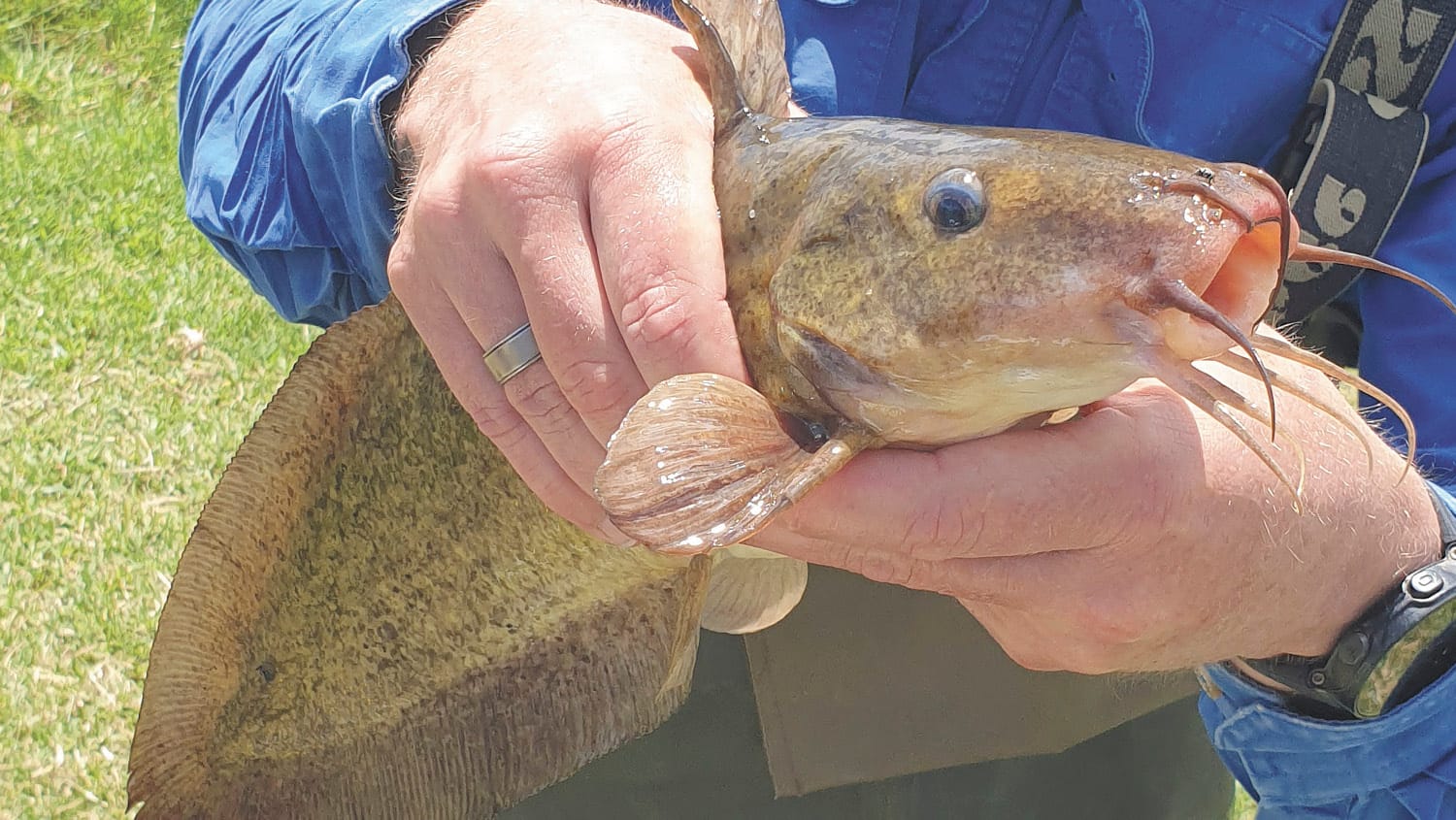 Moulamein Notebook- November 25, 2021