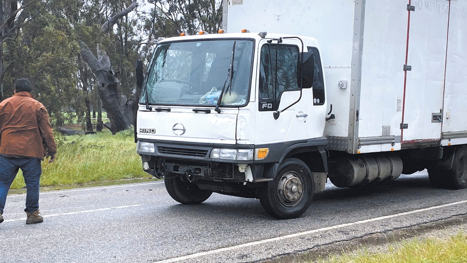 Close Call in Tree Fall