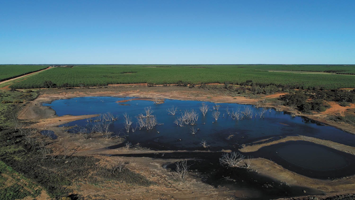 Lib Nats Vote To Down Water Transparency