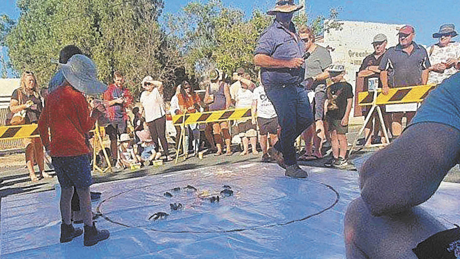 Yabby Tales