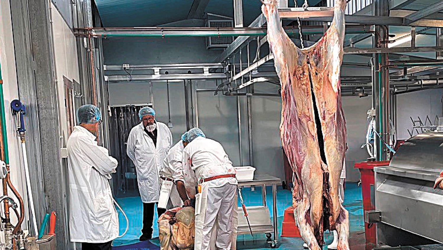 Micro Abattoir Put to the Test
