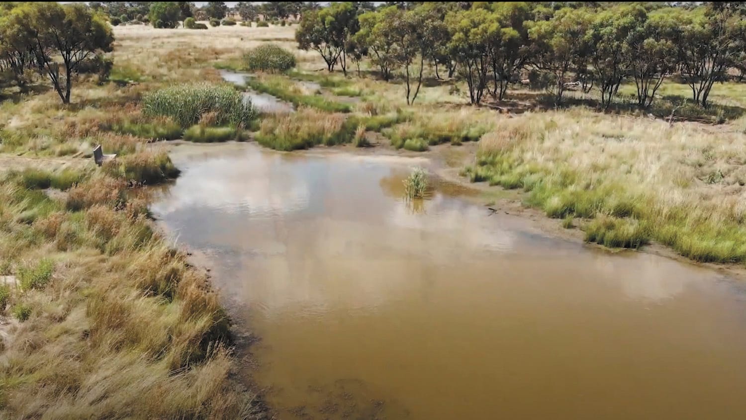 Carbon Deals Catch Delta Feel