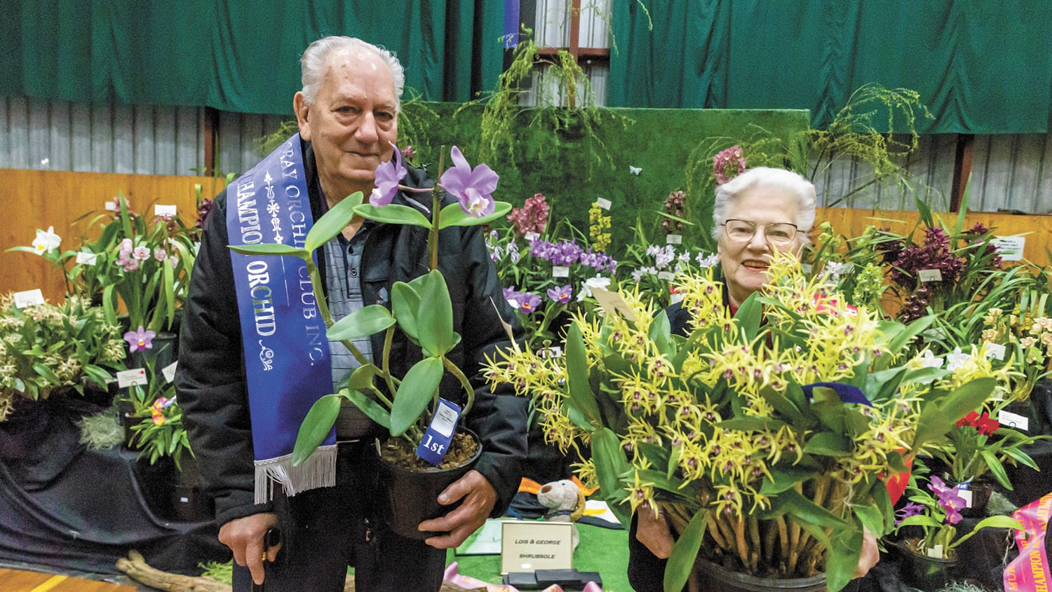 Kerang Orchid Show Blooms