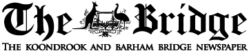 The Bridge icon