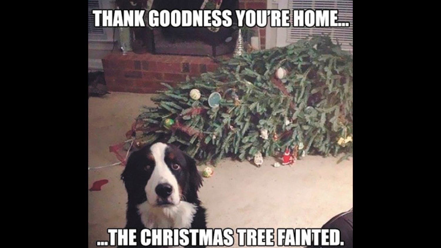 Christmas Contemplations:The Christmas Night Crash