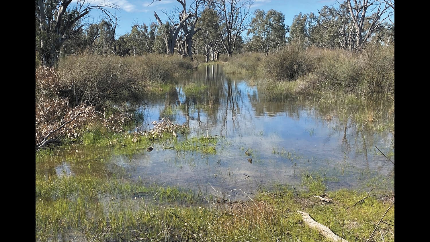 Flood Mapping Now Available