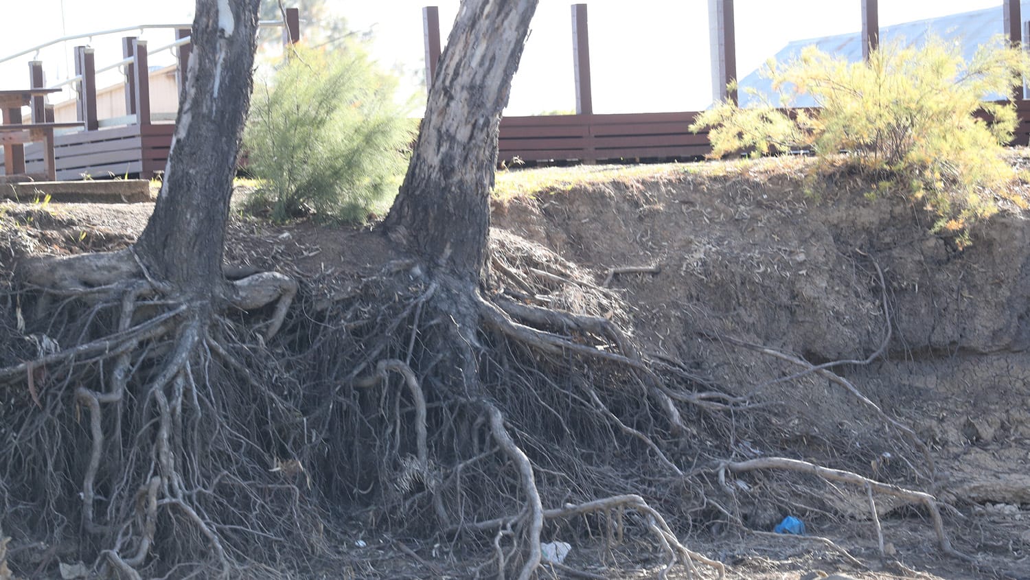 Senate Hearing Deniliquin