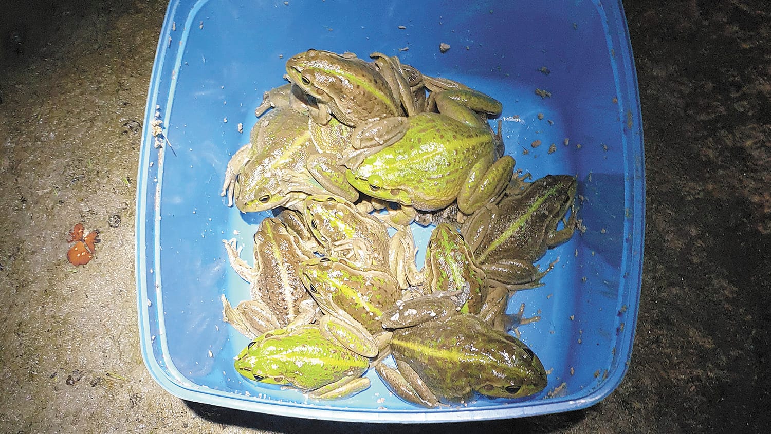 Moulamein Notebook- April 14, 2022