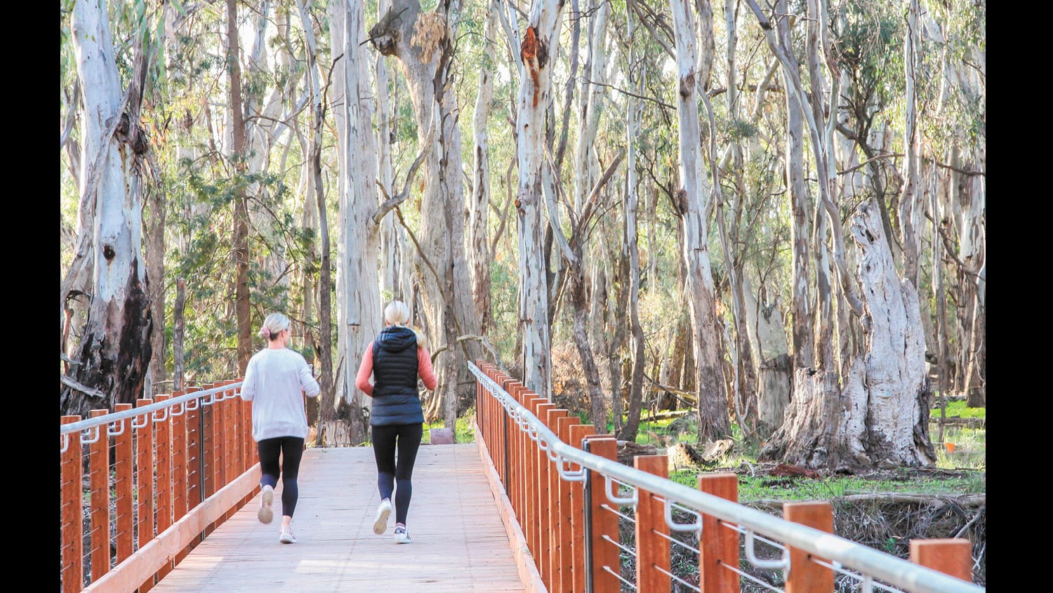 Walking and Cycling Strategy