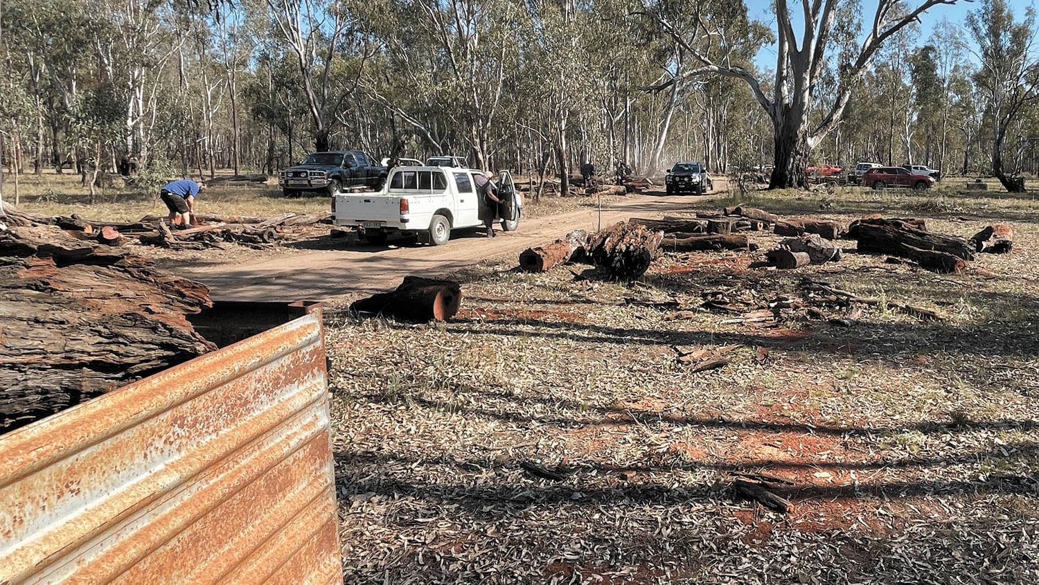 Walsh pleads for DEECA to repeat 2024 Barmah firewood collection