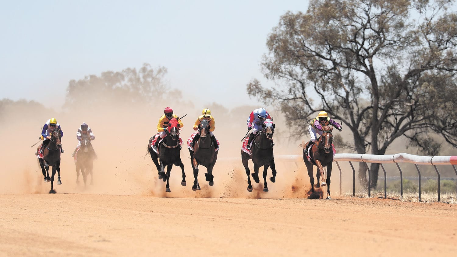 Moulamein Races Cancelled