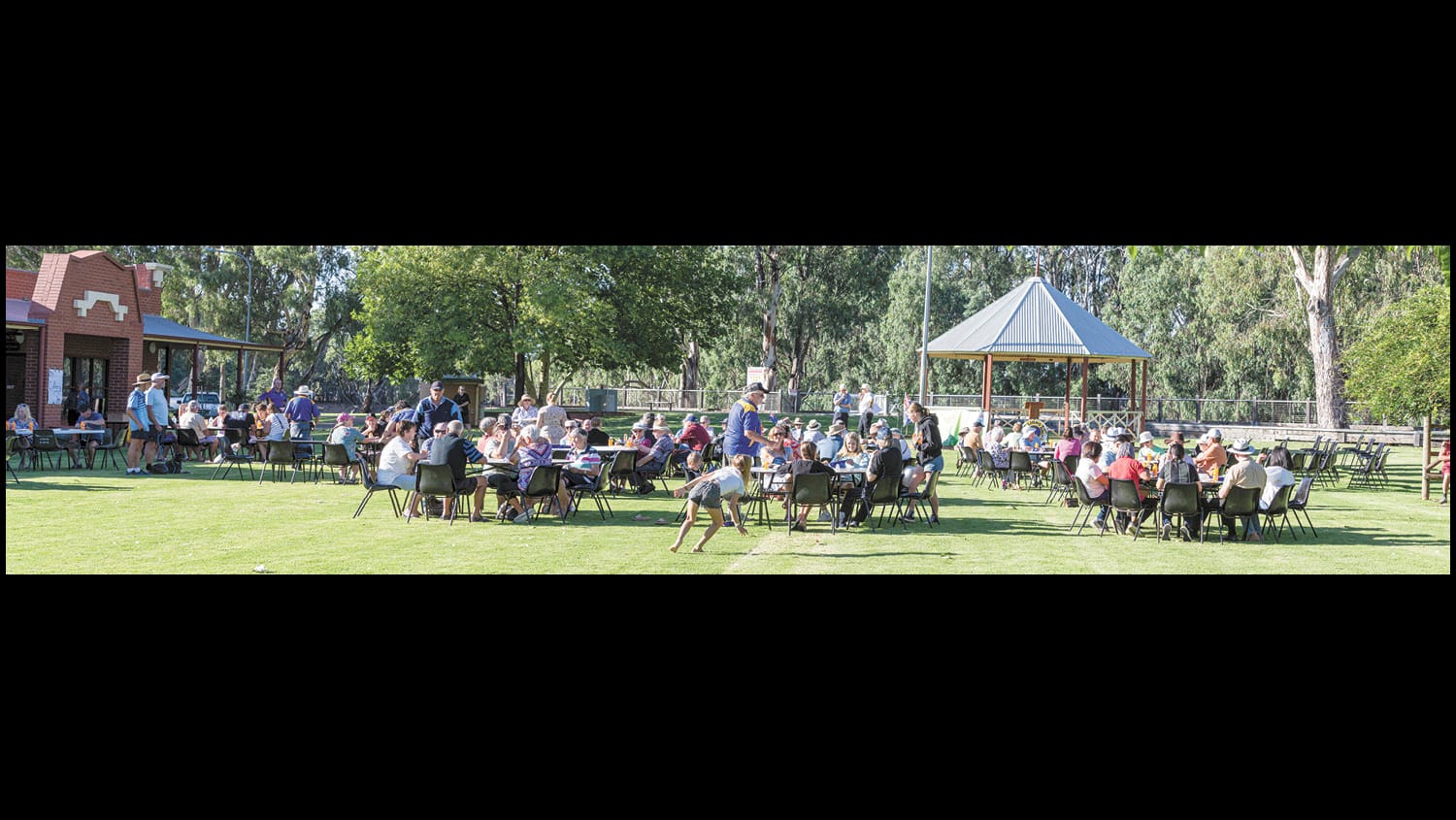 Lions Shine on Australia Day