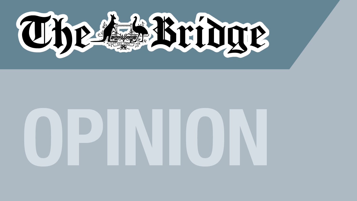 Covid-19 lockdowns went ‘too far’