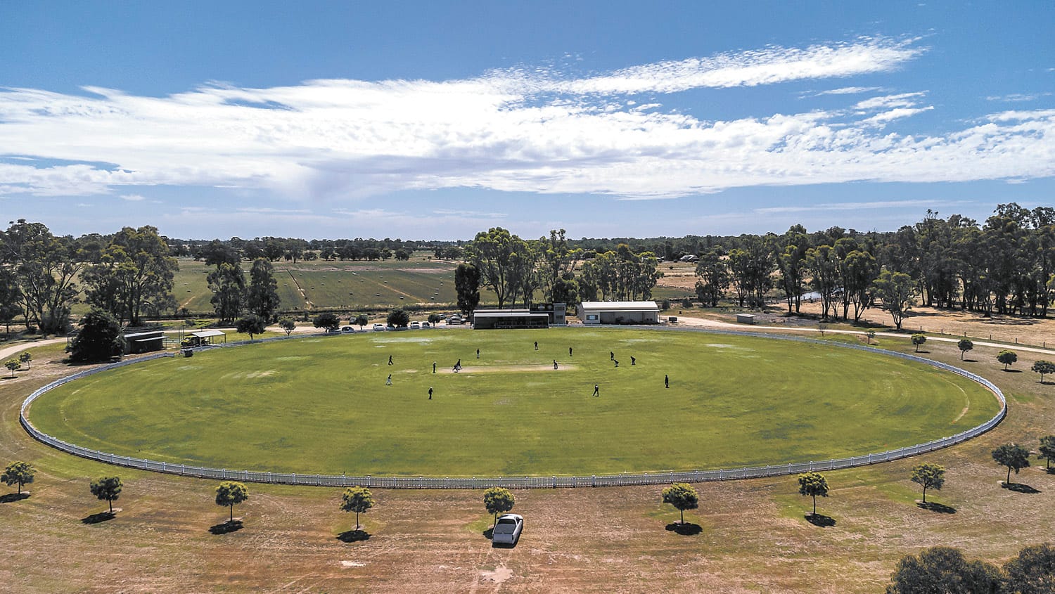Over 60s Cricket Carnival Heads Local