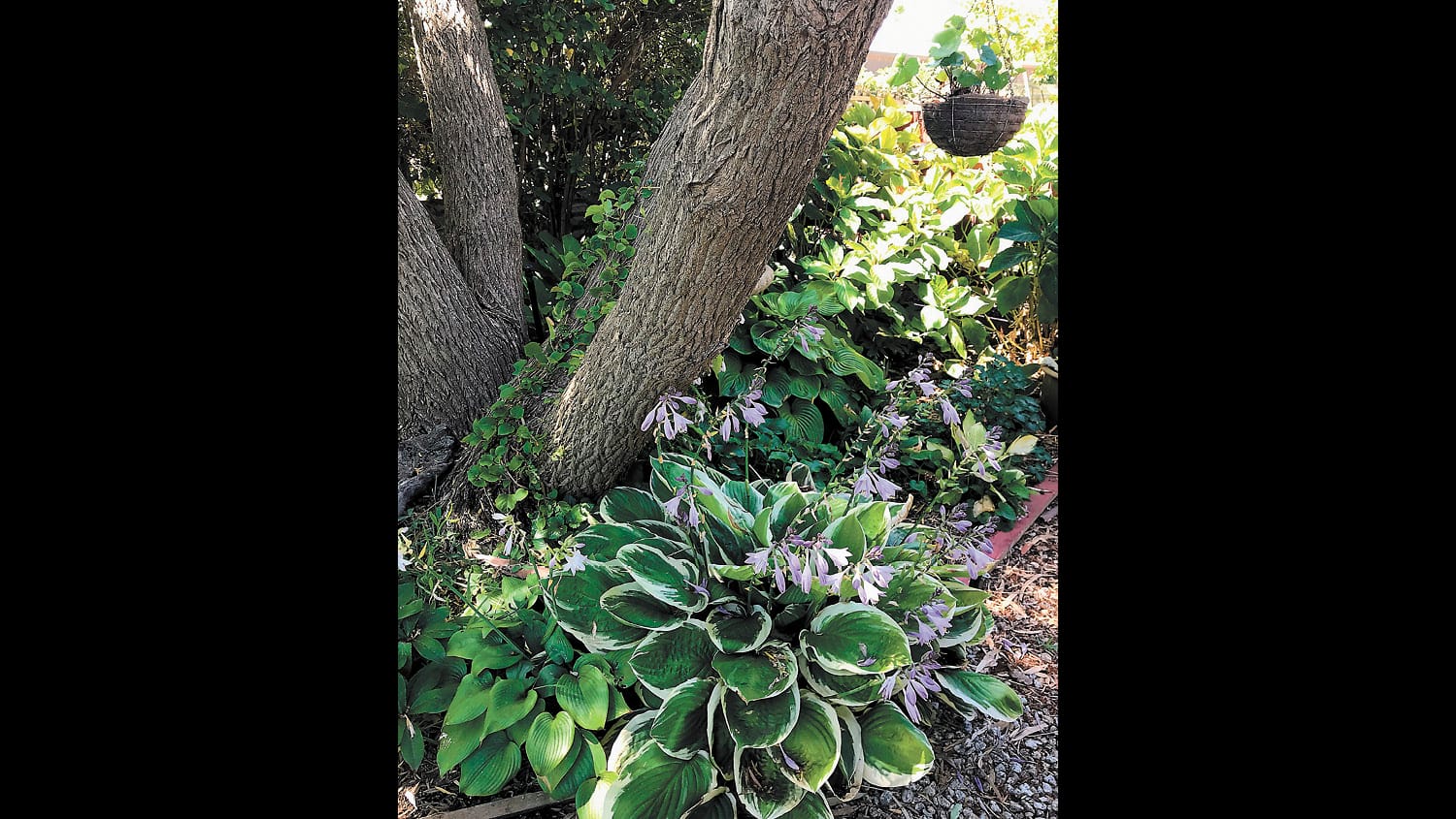 Garden Society - February 2, 2023
