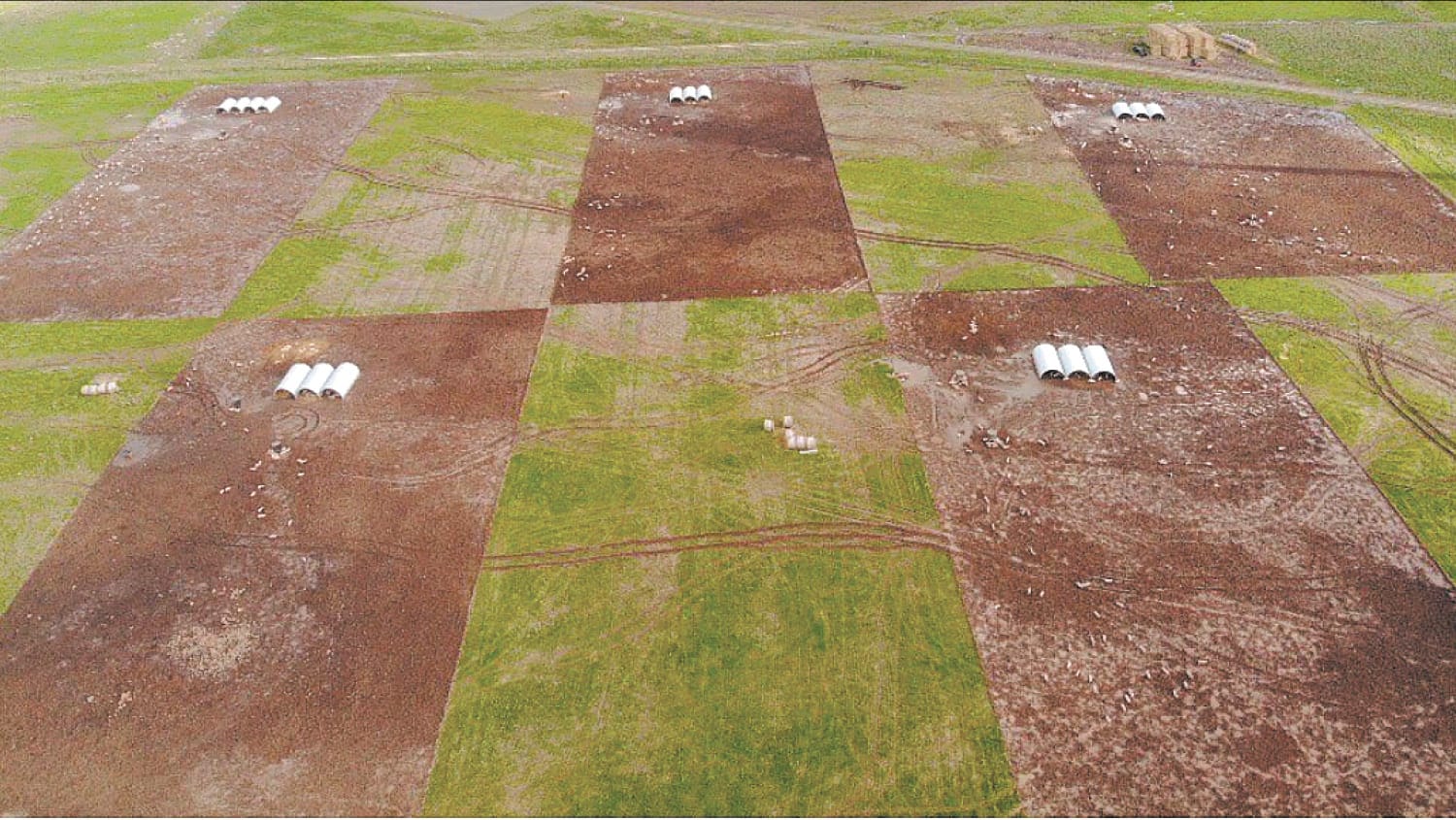 Proposed Piggery Seeks Approval