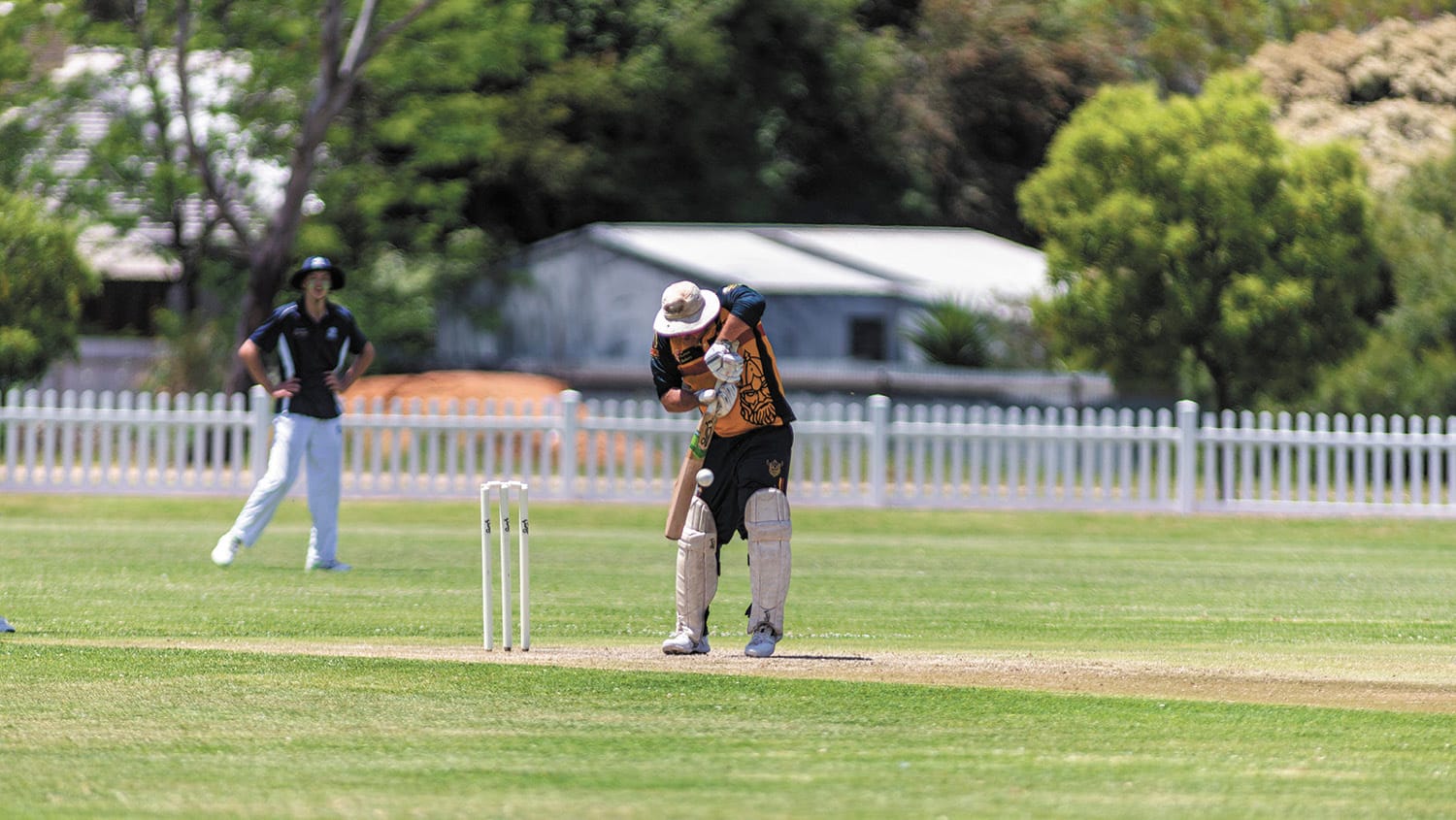 Highs and lows of local cricket