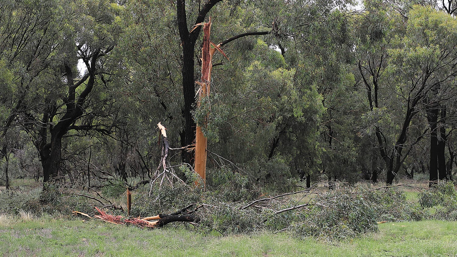 Strike, That Was Close