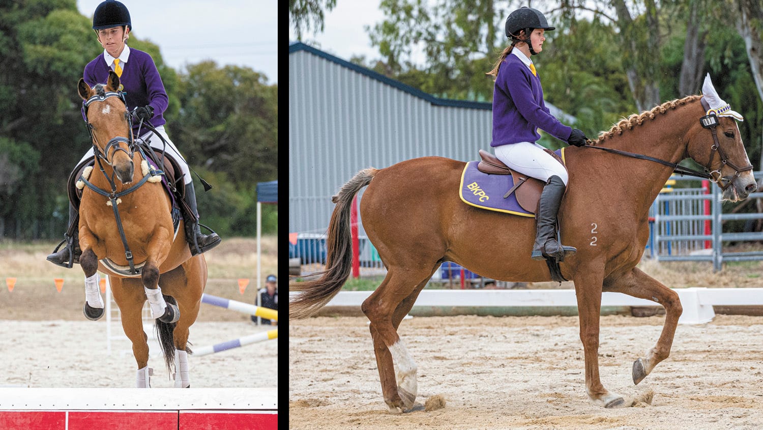 Barham Koondrook Pony Club Hosts Northern Zone Qualifier