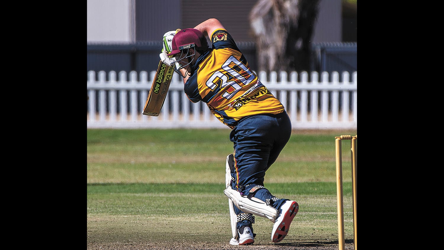 Lolicato Five Wicket Haul