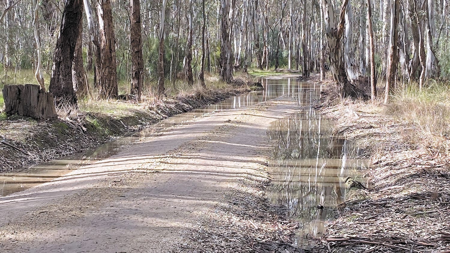 Pumps Started in Guttrum