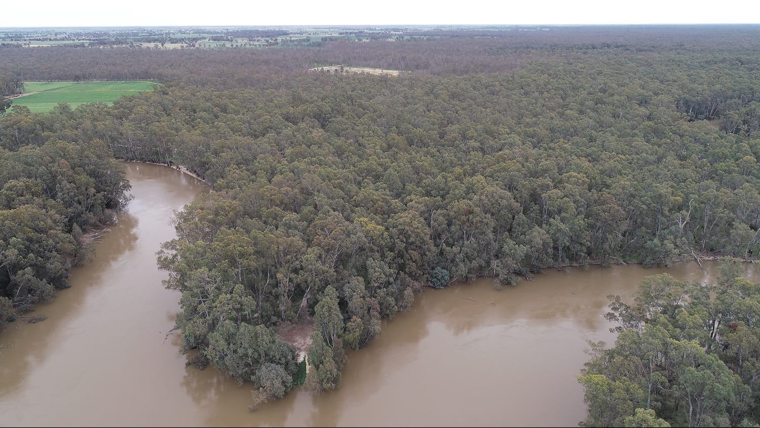 Solid fuel fire ban for Koondrook, Perricoota and Campbells Island State Forests