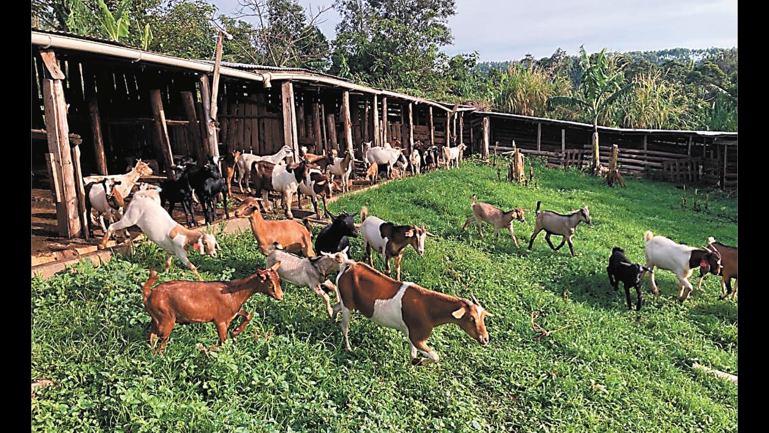 A Solutions Focused Approach