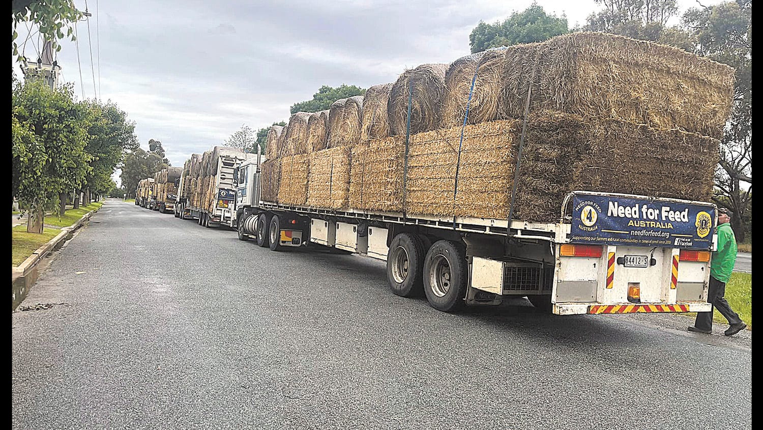 Need for Feed Returns