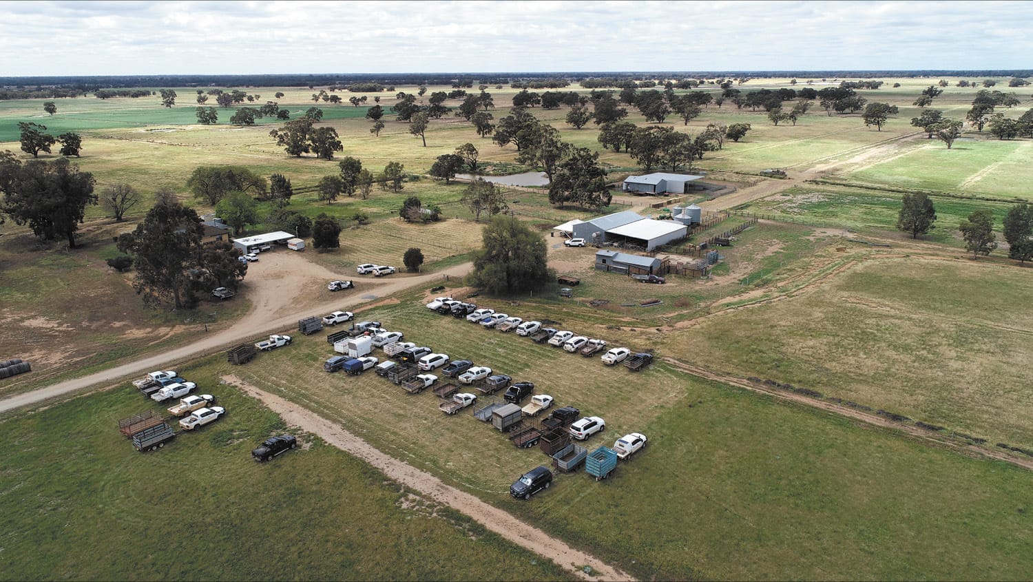 Local Stud Peaks Interest