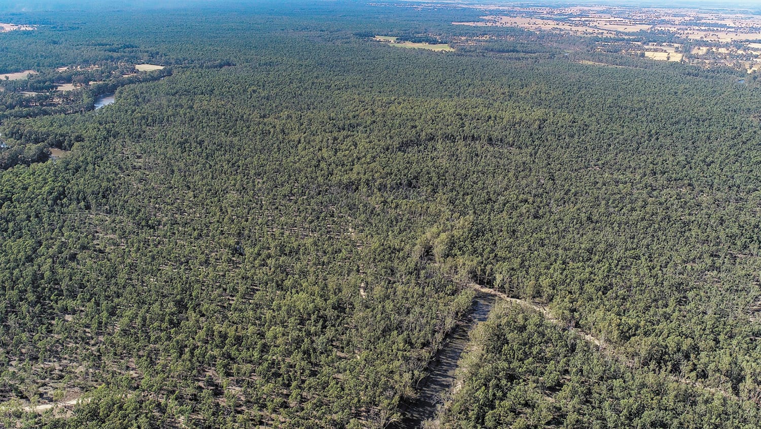 $500,000 for Forestry Transition