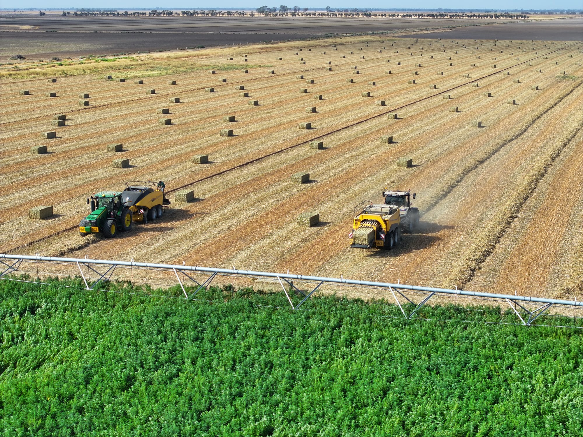 Murray Industrial Hemp seed funding success