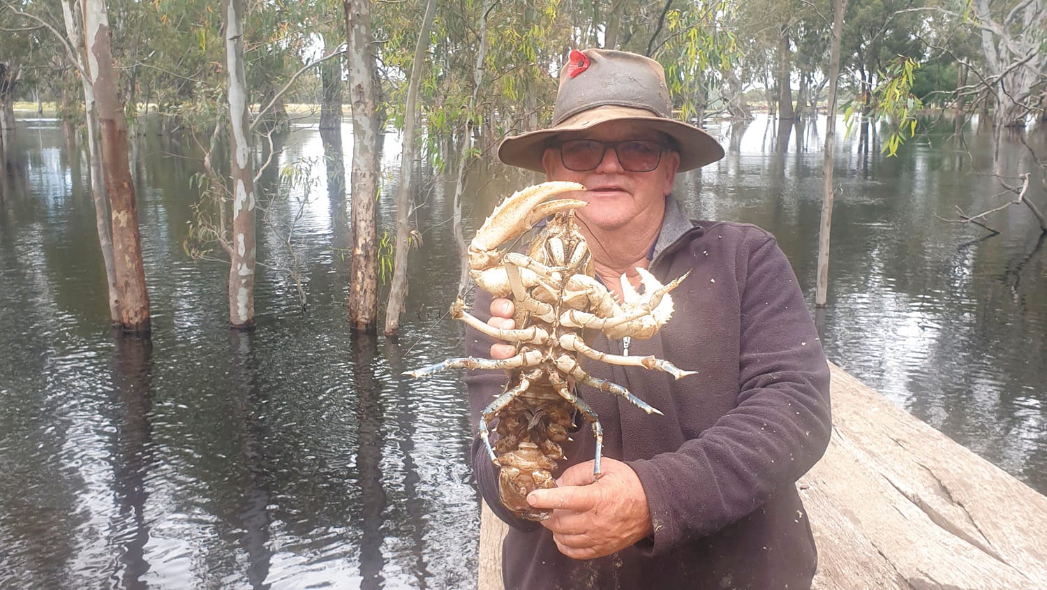 Moulamein Notebook- November 17, 2022