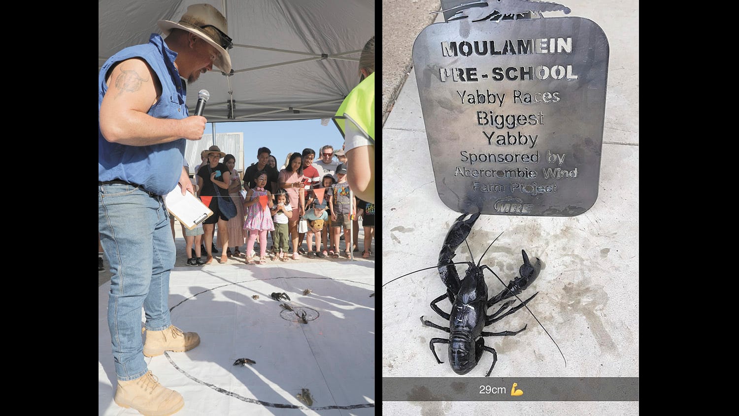 Yabby Races Break Records